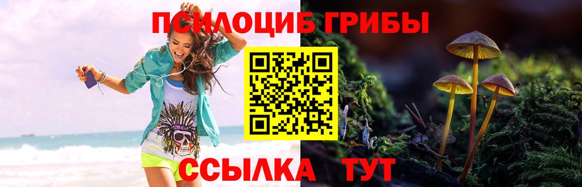 Верхний Уфалей  Псилоцибиновые грибы ЛСД  закладка  Вход с VPN 